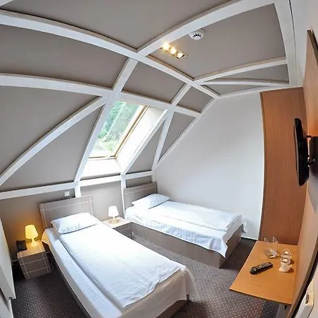 Hanul Cu Ursi Hotel