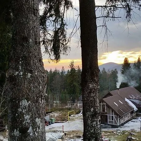 Hanul Cu Ursi Hotel Sinaia