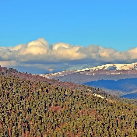 Hotel Hanul Cu Ursi 3*